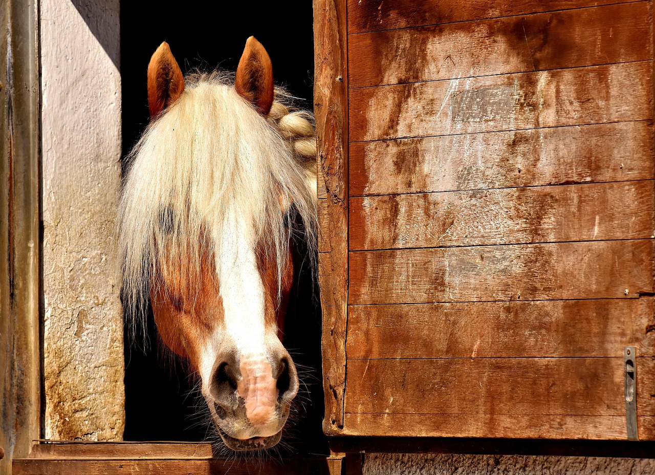 Comparison of Stable Diffusion and Midjourney tool strengths.