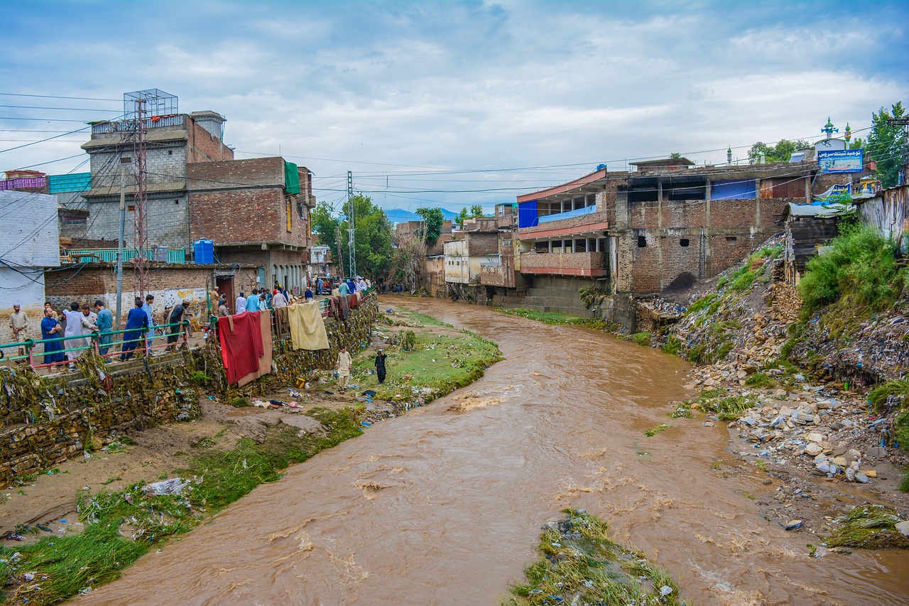 mvdhuplkayyp0182azvc.jpg