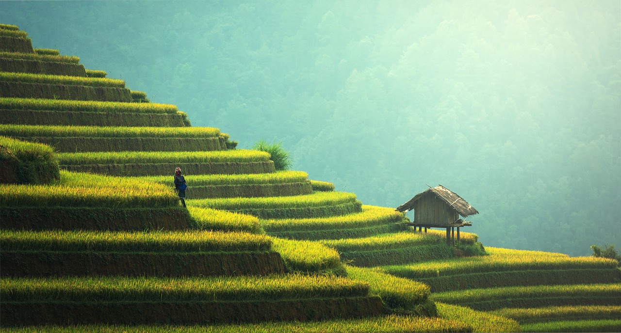 Embracing long - term growth strategies for future success.