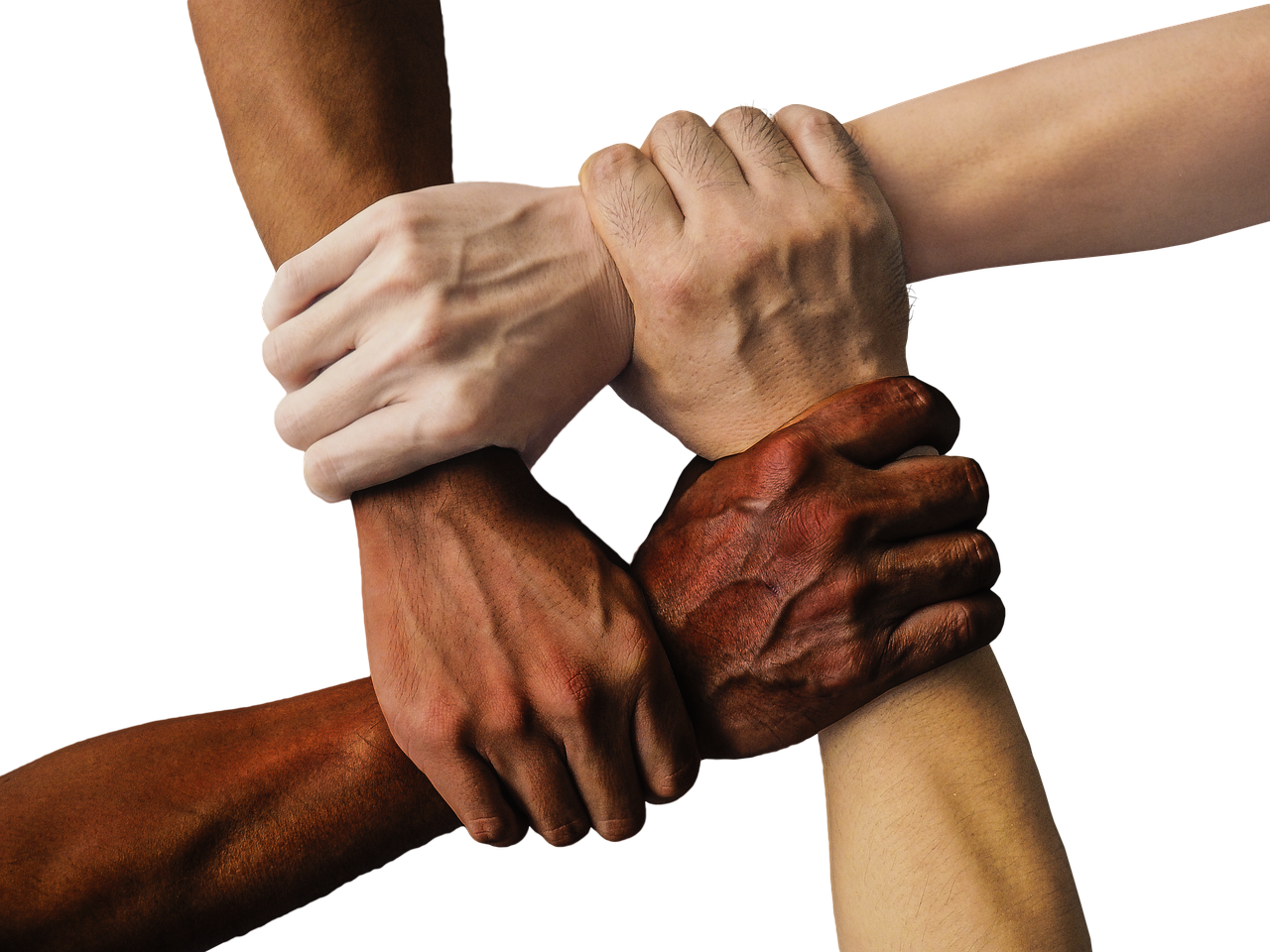 Support network for combating ageism in job seeking.