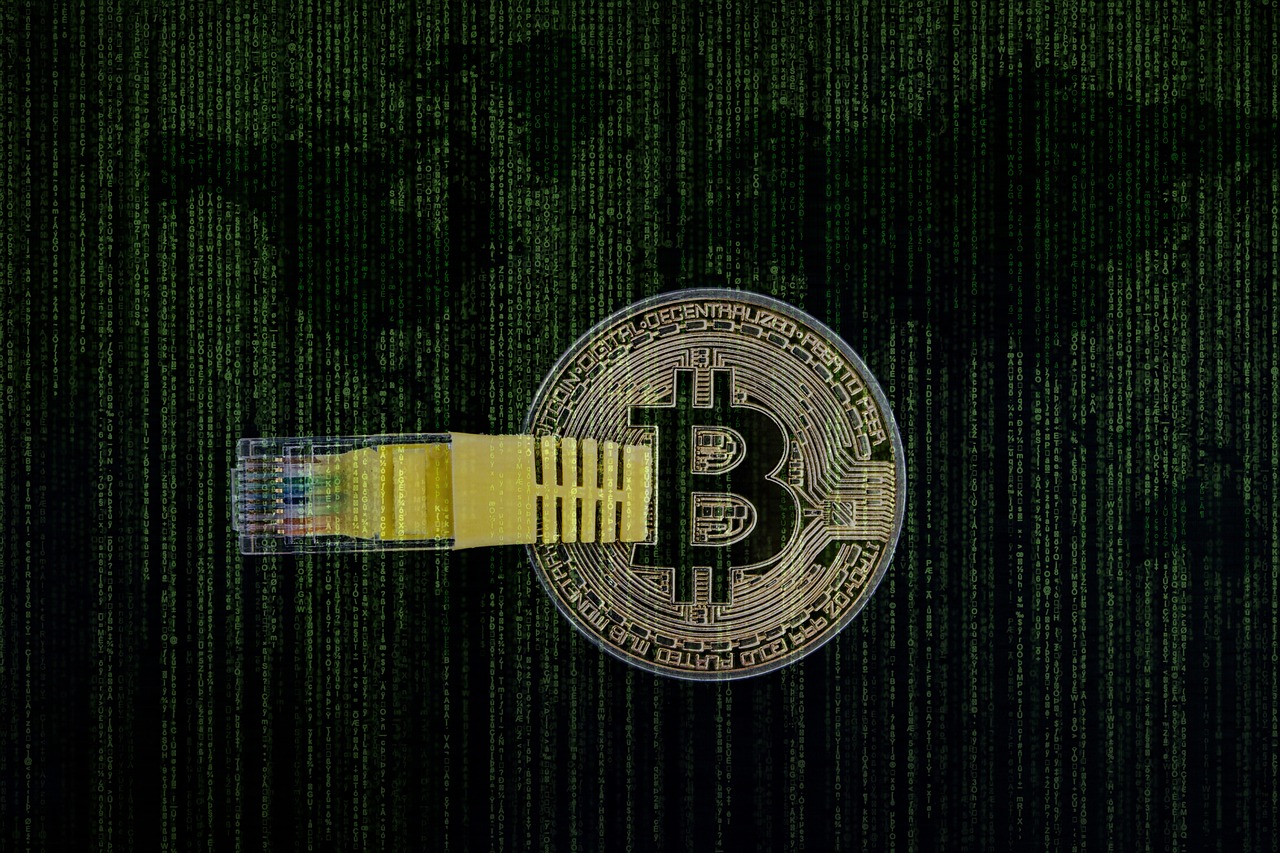 Emerging crypto startups gaining growth capital from VC funding.