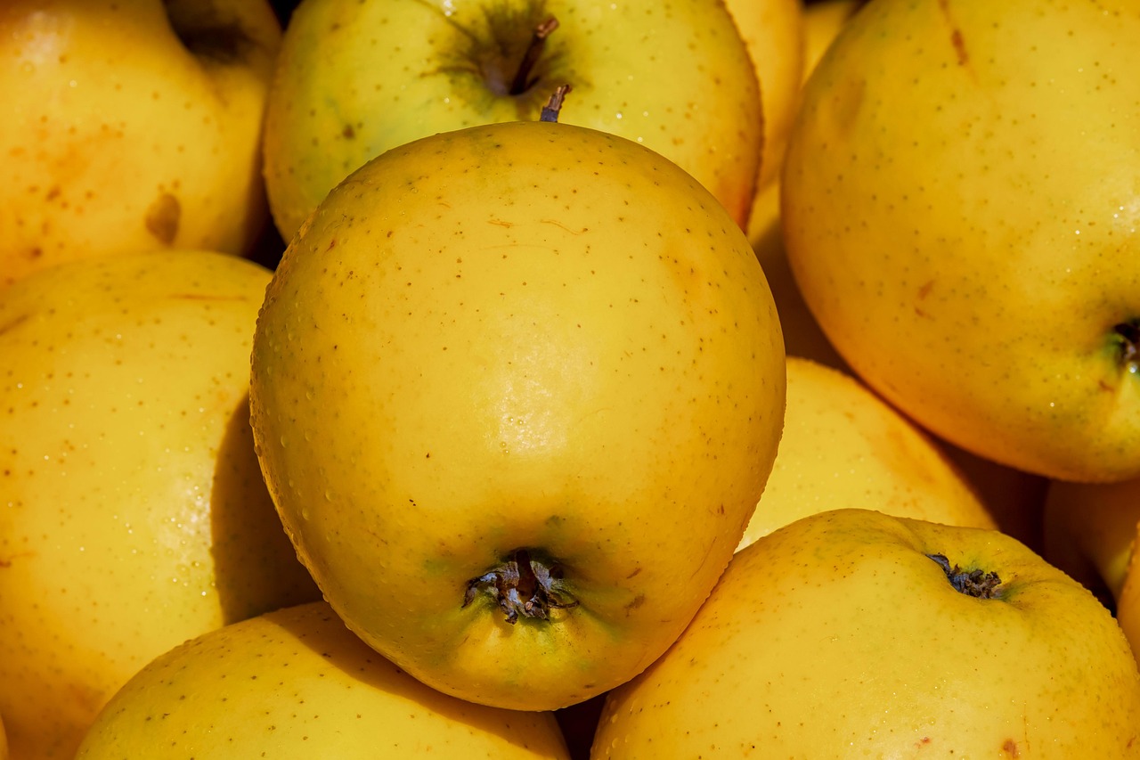 Luxury fruit sector challenges: seasonality and costs.
