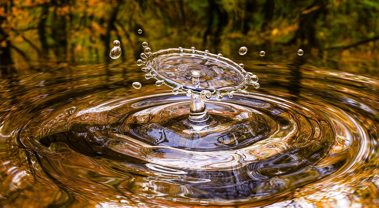 Circular economy models boosting resale and brand growth.