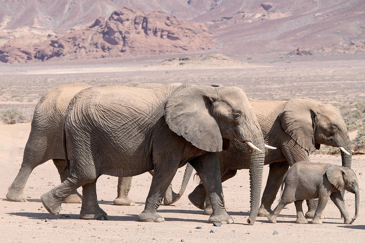 Coalitional instincts shaping group dynamics and collaboration.