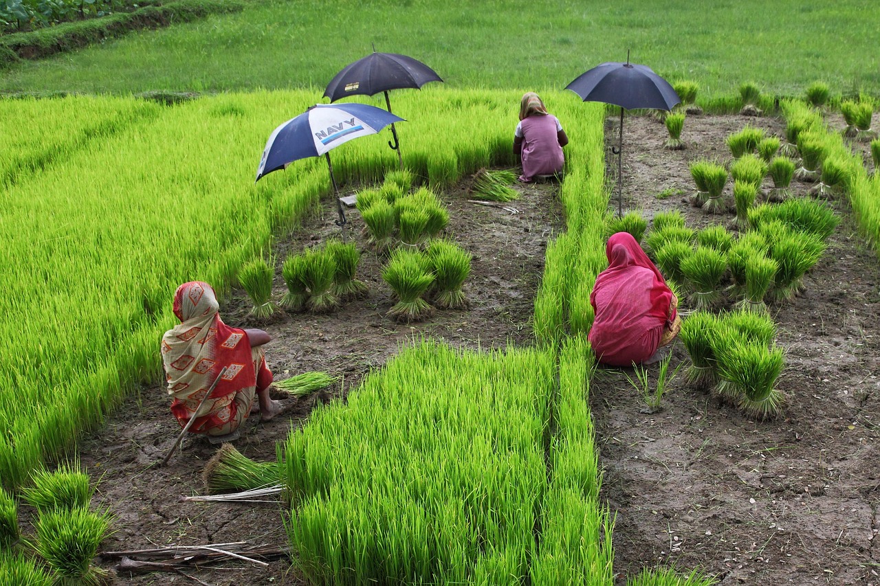 Bangladesh protest crackdown audio leak and investigation.