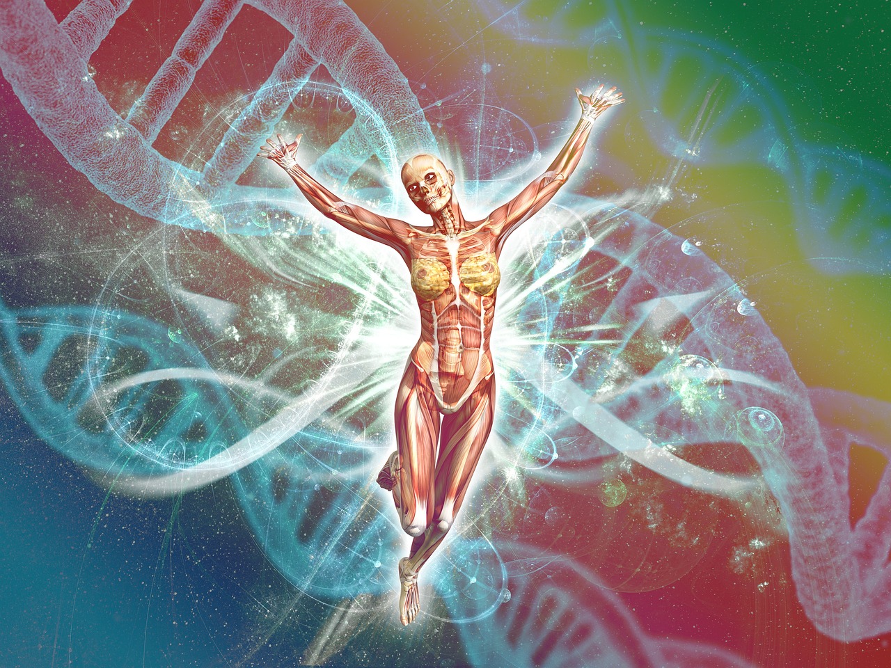 AlphaGenome DNA data processing with CNN and transformers.