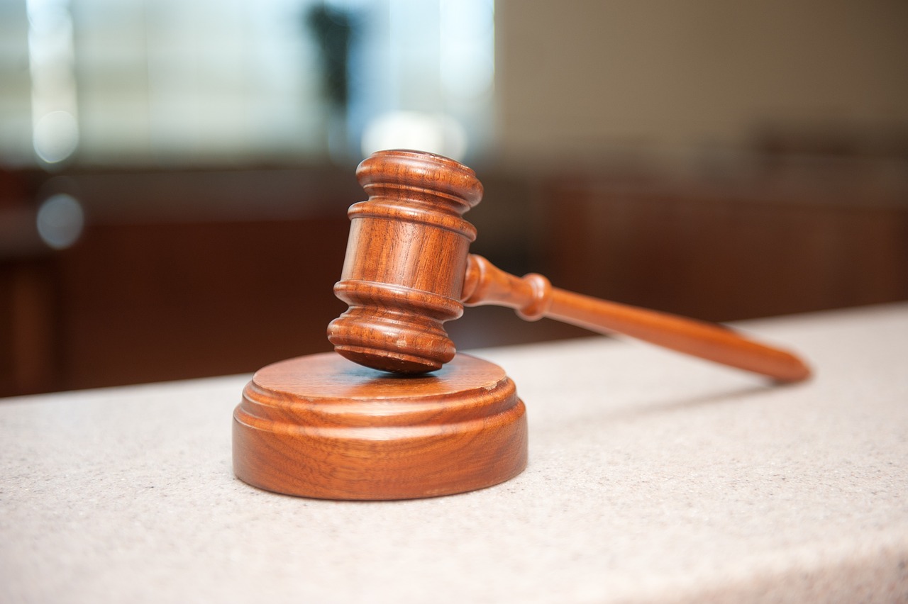 Federal workforce legal challenges and future prospects.