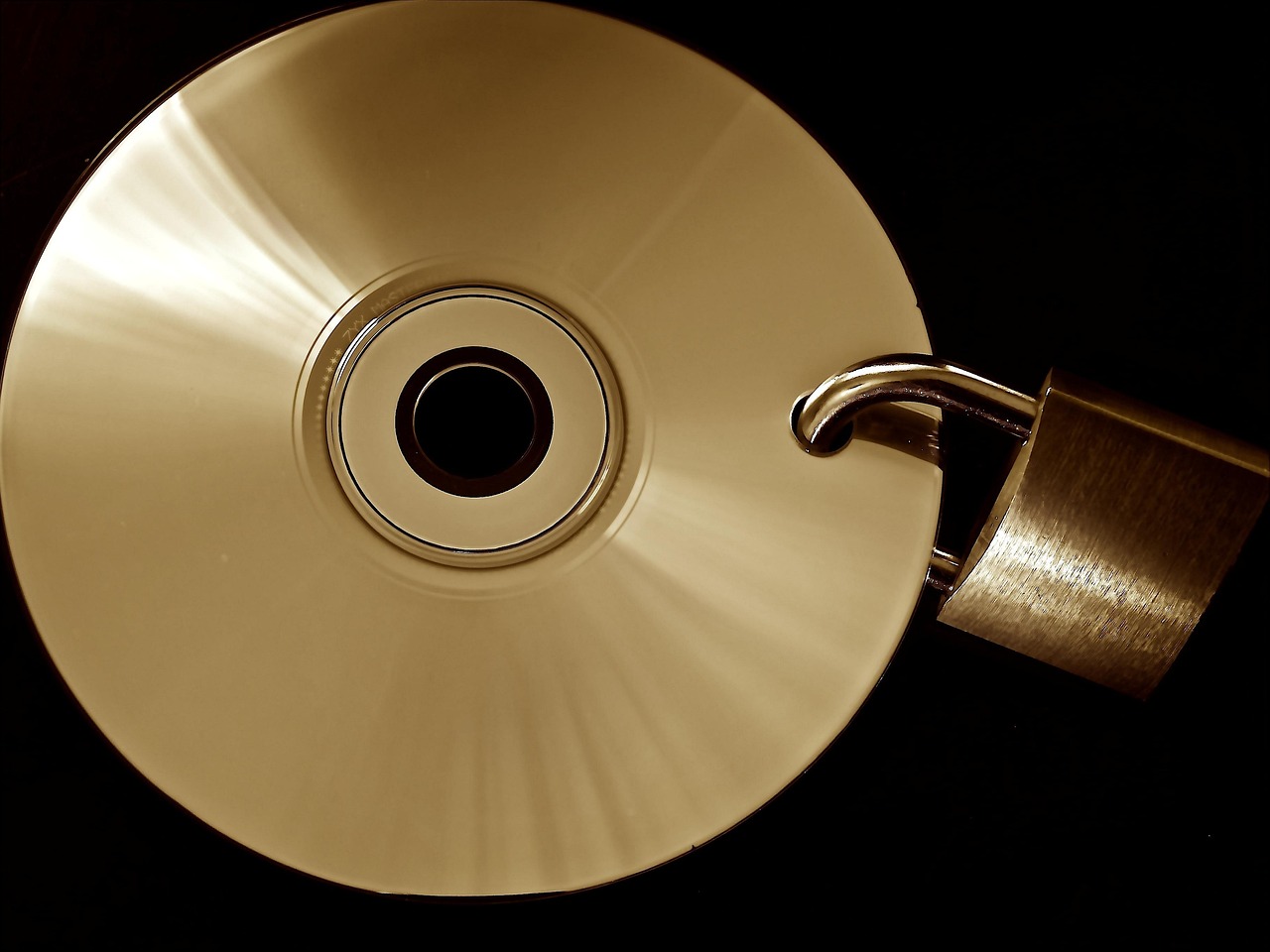 Salesforce data privacy myth debunked, no third - party sharing.