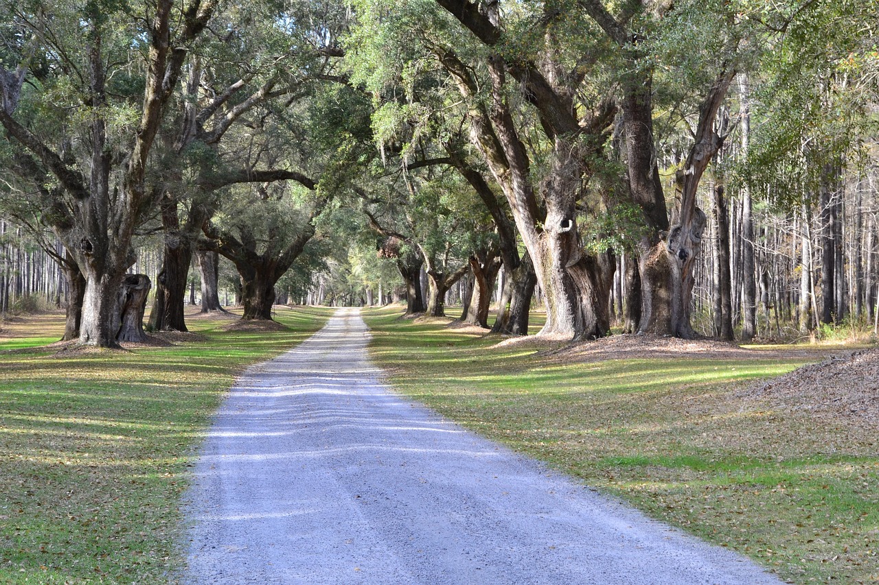 South Carolina political landscape with diverse voters.