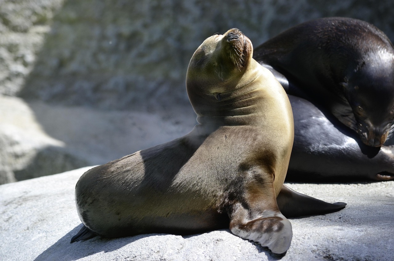 SEAL enables language models to self - adapt with self - edits.