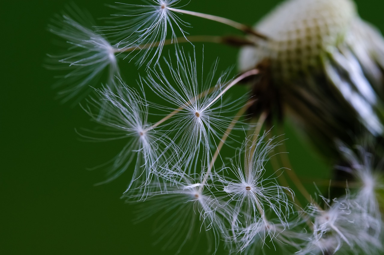 Balancing strengths and weaknesses for personal growth.
