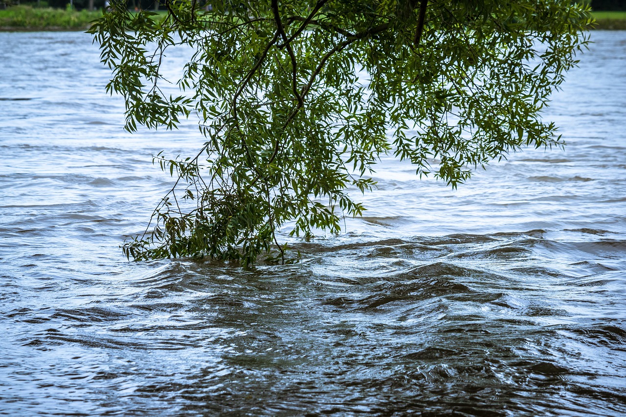 New Mexico flood lessons for wildfire - affected communities.