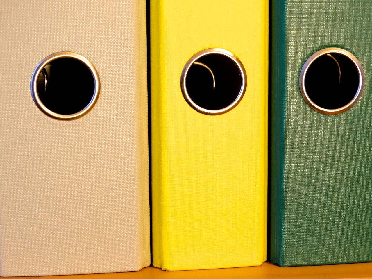Centralized archive for Rustin historical resources gap.