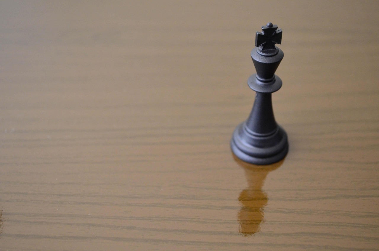 AI reasoning models showcasing specialized domain skills.