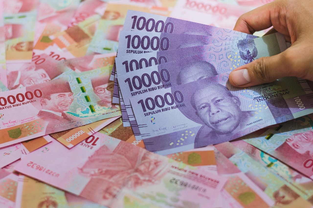 Wise plc capturing trillion - dollar international payments market.