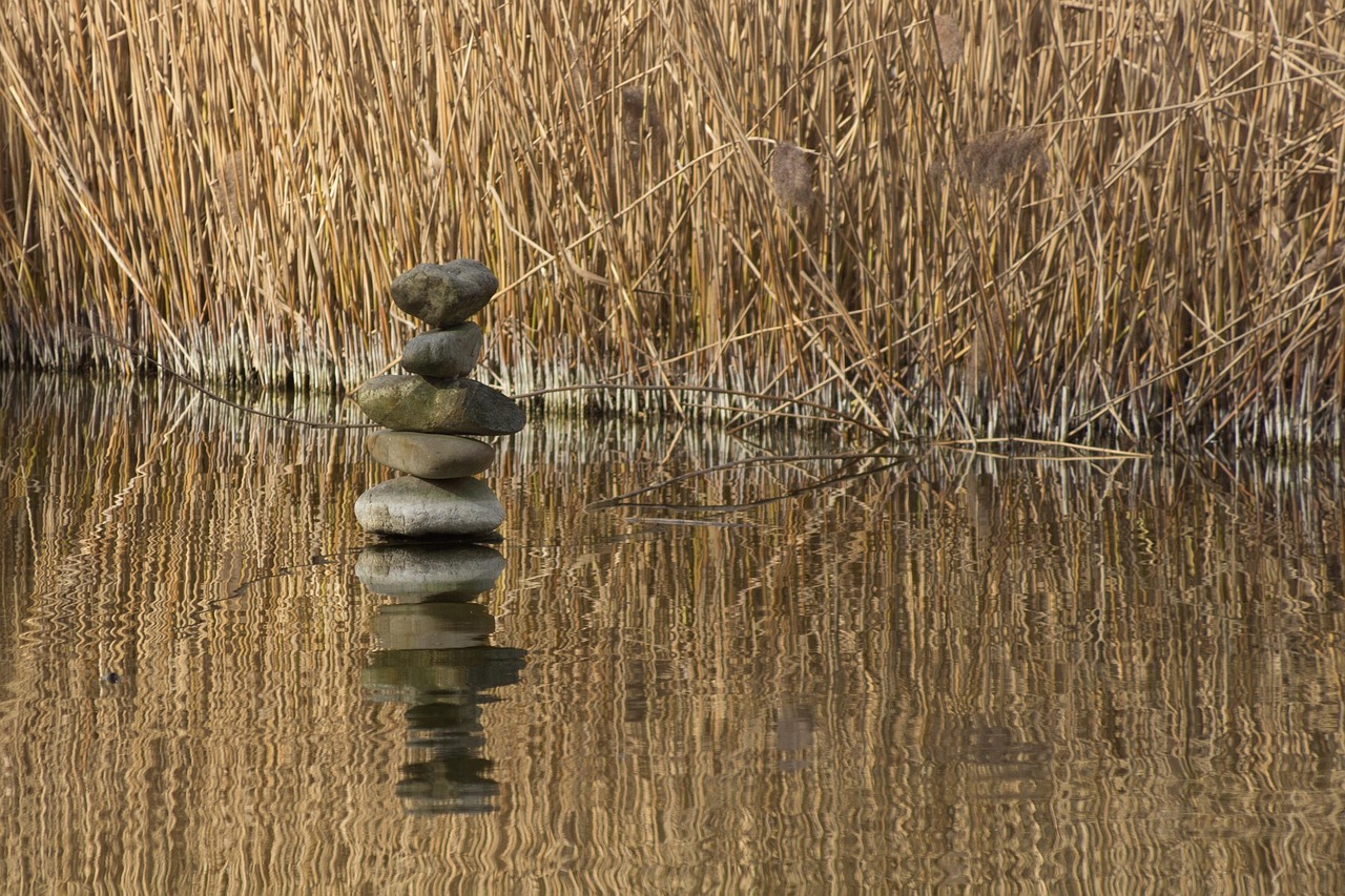 Life of duality: balance exploration and stability.