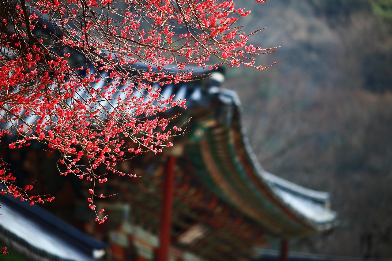 Bank of Korea housing market and interest rate decision.