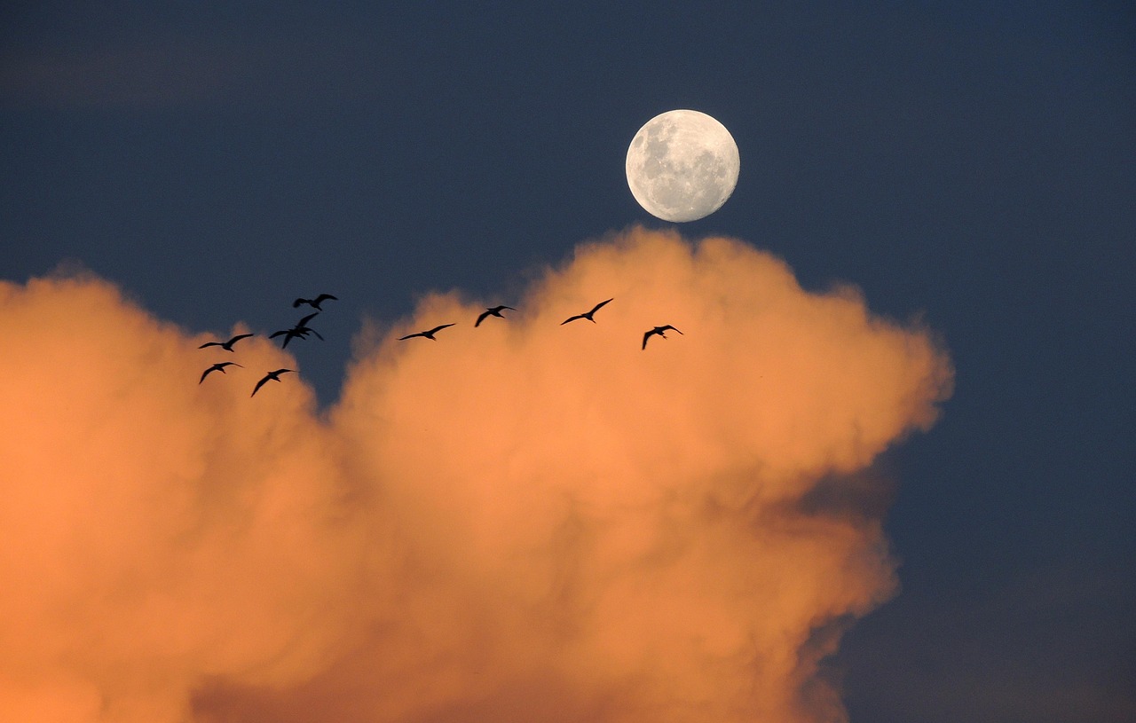 Practicing self - belief during life transitions and growth.