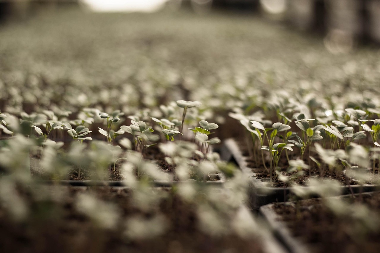 Small business challenges turning into growth opportunities.