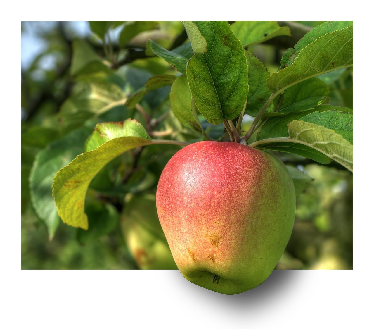 Common AI adoption themes in image editing and manufacturing.
