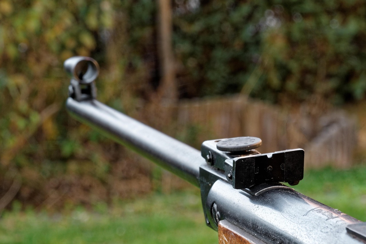 Gun violence sparks urgent calls for legislative reform.