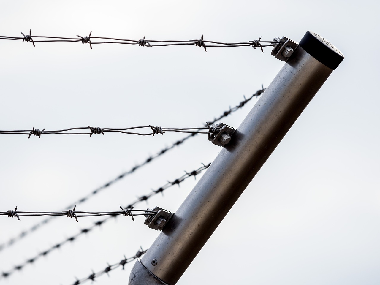 Legal challenges at Florida's Alligator Alcatraz detention center.