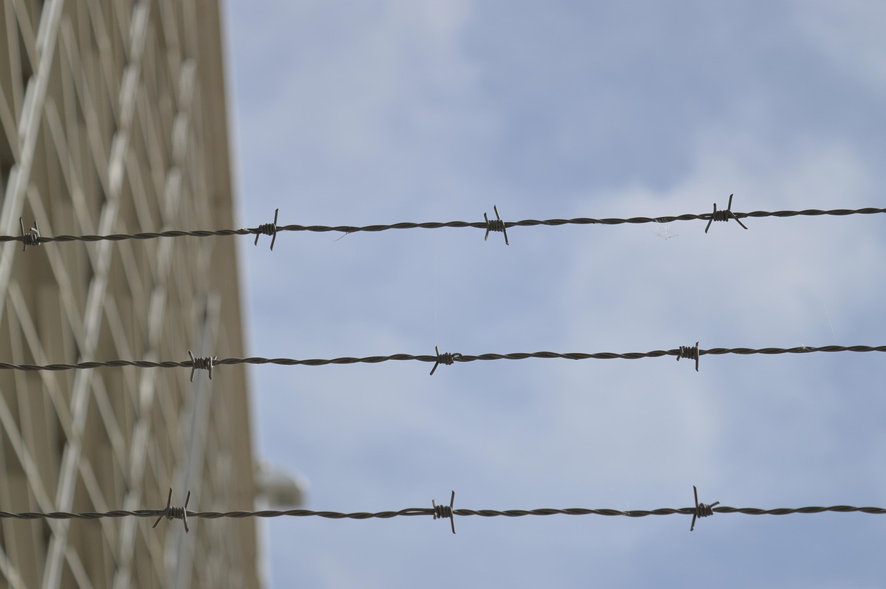 Policy impacts on community safety and immigration issues.