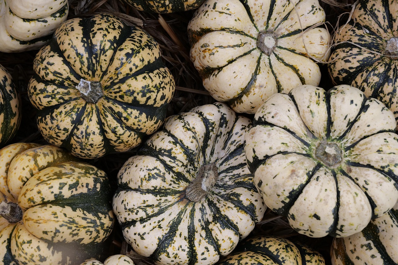 Trader Joe's Fall Foods: Taste Test Analysis.