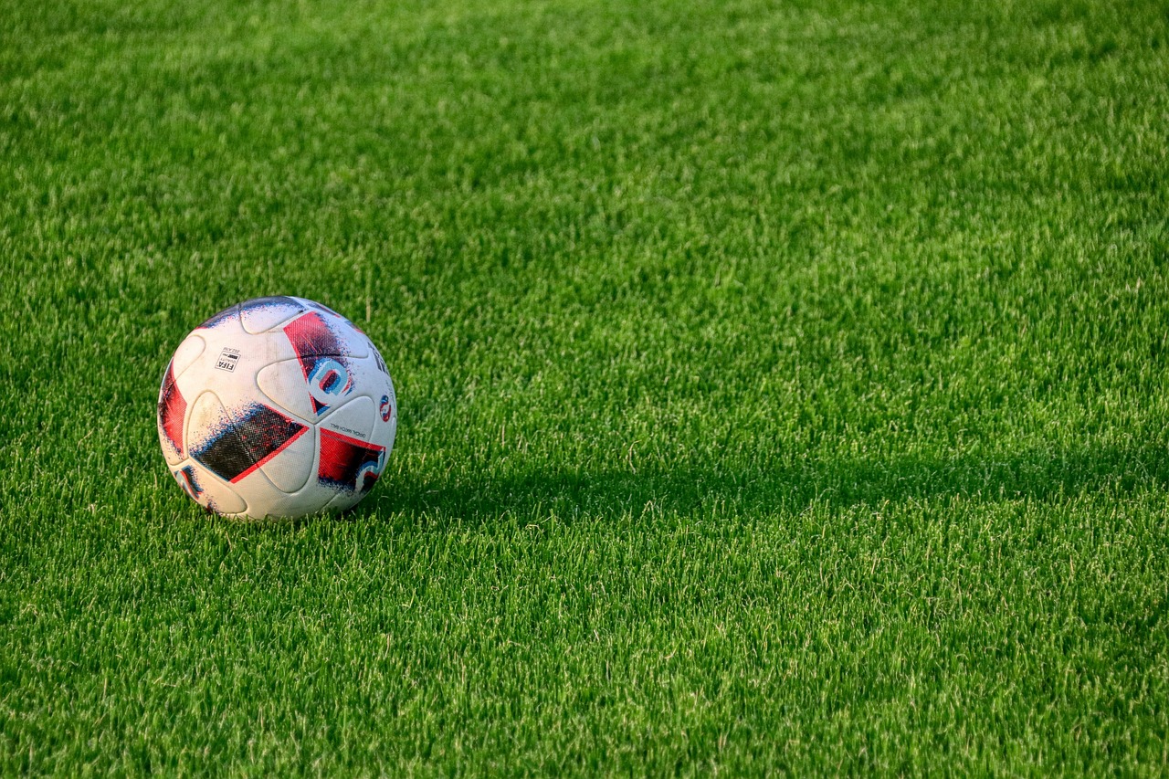 Amateur vs Professional Sports Leagues Comparison Chart