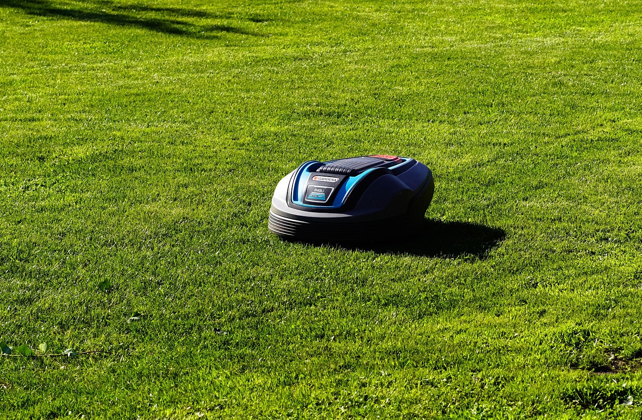 Robotics localization challenges with Argentinian weed dataset
