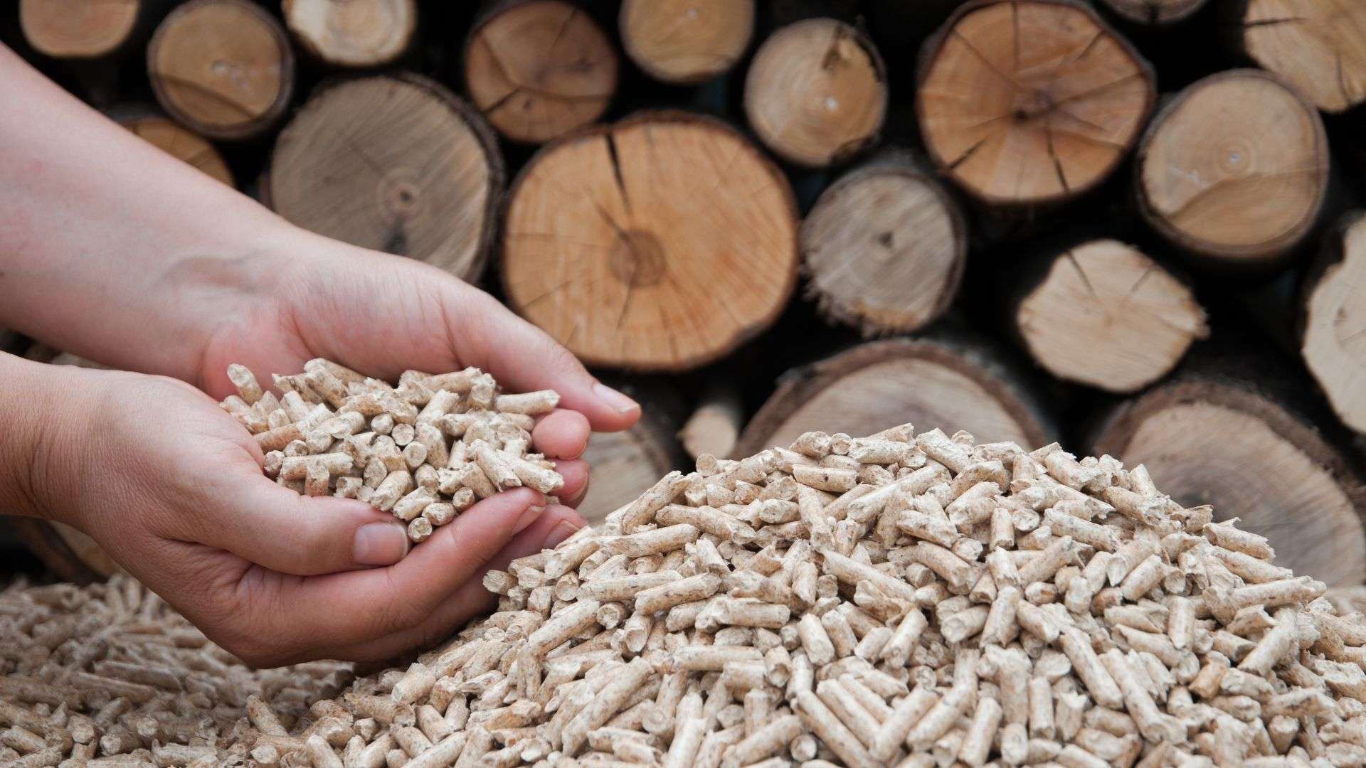 Suministro y Mantenimiento de Biomasa