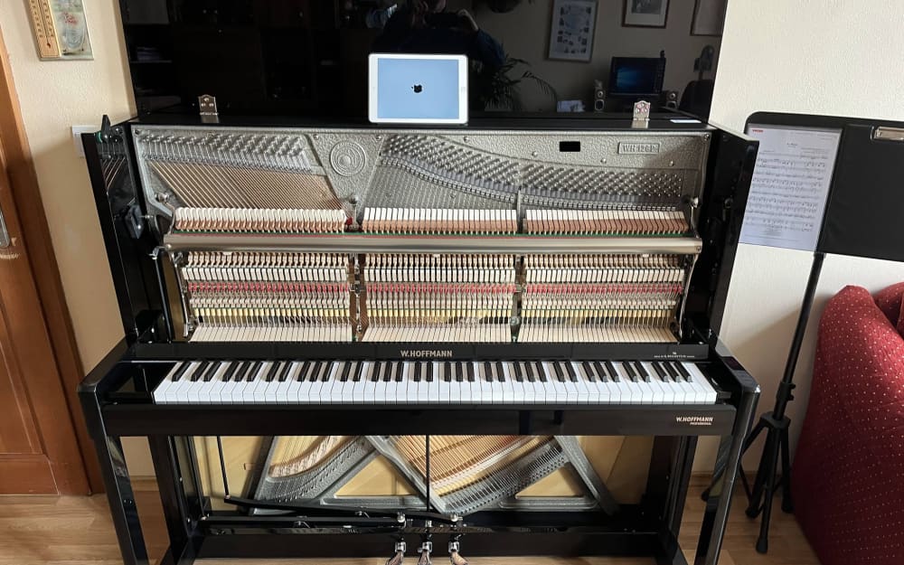 Vnitřek pianina W. Hoffmann P 126 — kolíky, struny a kladívka po sundání horního panelu