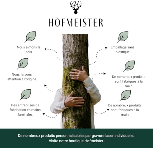 Vue 6 de Hofmeister Dossier Sauna