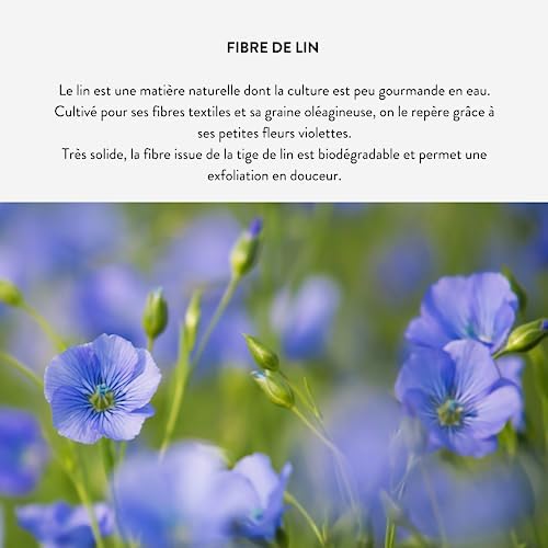 Vue 3 de Omnia Botanica Gant De