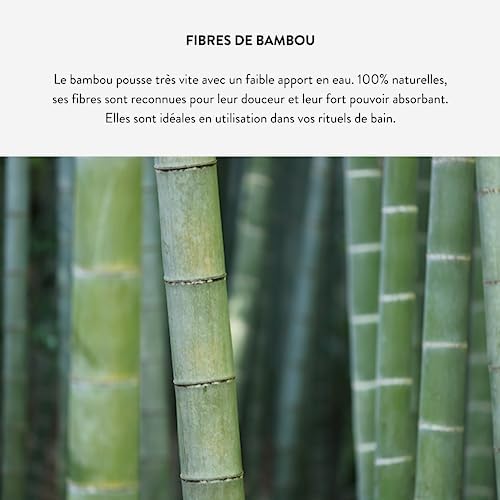 Vue 4 de Omnia Botanica Gant De