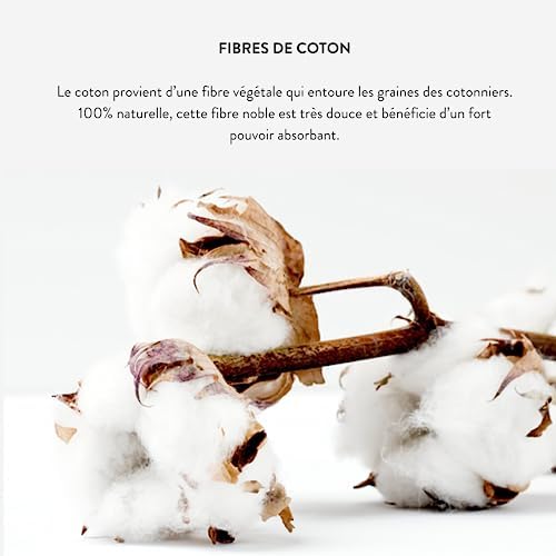 Vue 5 de Omnia Botanica Gant De