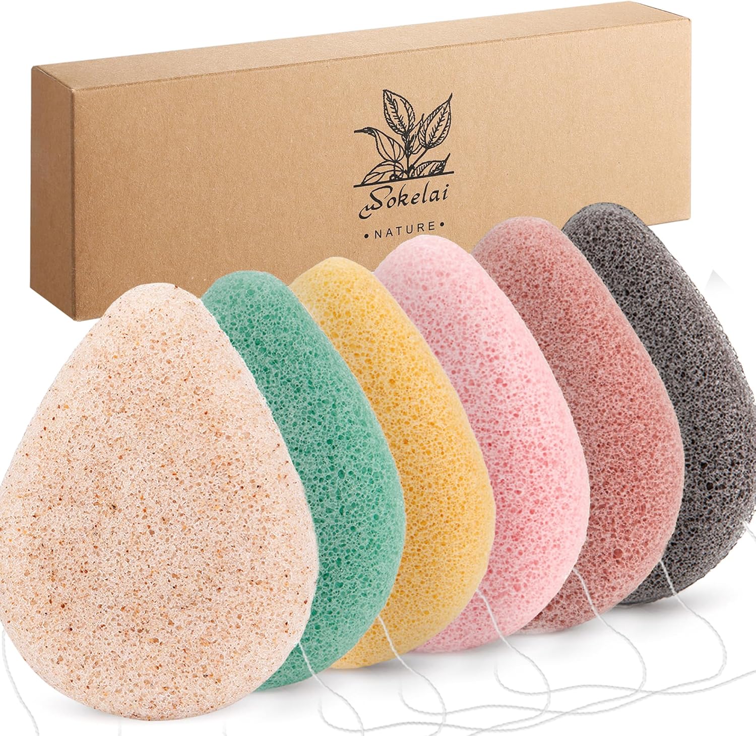 Eponge Konjac Lot De