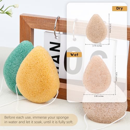 Vue 3 de Eponge Konjac Lot De