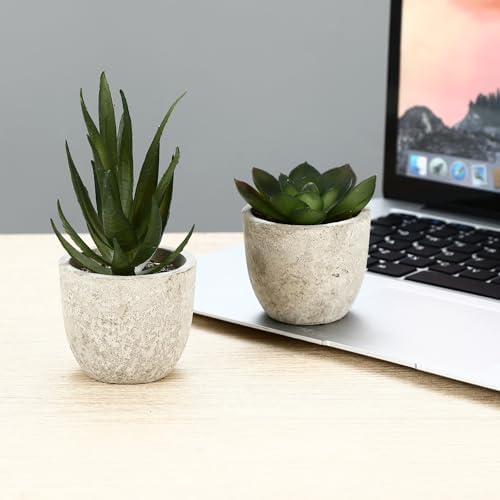 Vue 7 de Zhyluo Pieces Plantes Artificielle