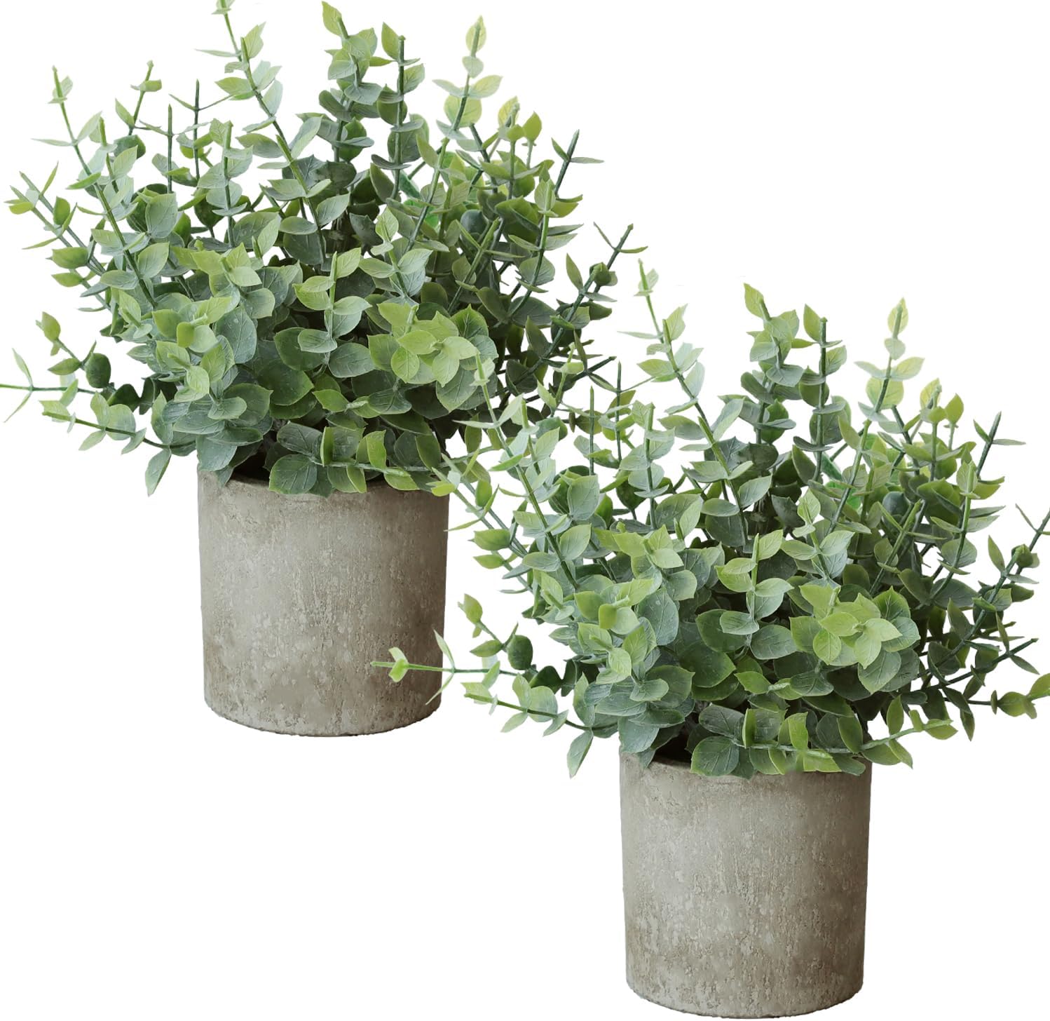 Roqueen Pieces Petit Plantes