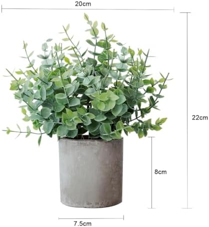 Vue 2 de Roqueen Pieces Petit Plantes