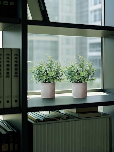 Vue 6 de Roqueen Pieces Petit Plantes