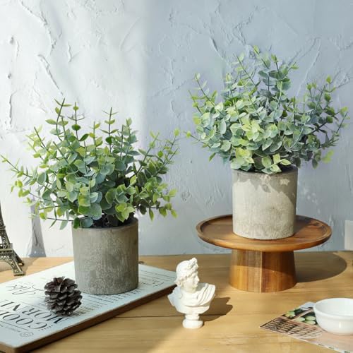 Vue 7 de Roqueen Pieces Petit Plantes