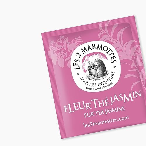 Vue 2 de Les Marmottes Fleurthe Jasmin