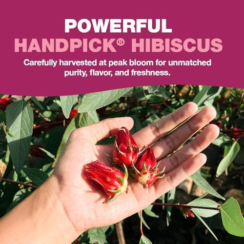 Vue 4 de Handpick Tisane Dhibiscus Sachets