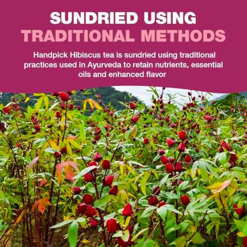 Vue 5 de Handpick Tisane Dhibiscus Sachets