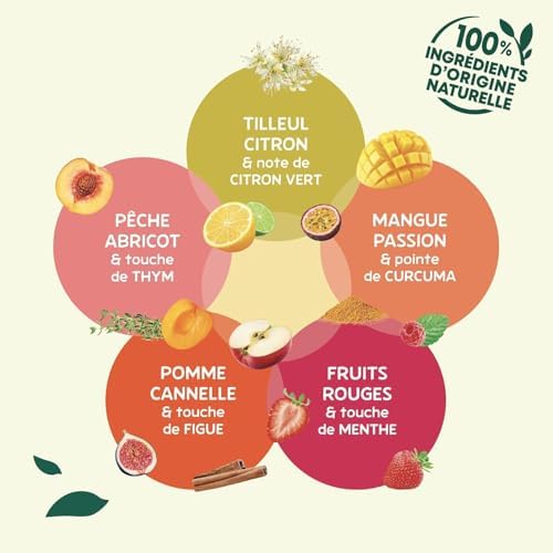 Vue 3 de Elephant Infusion Collection Fruitee