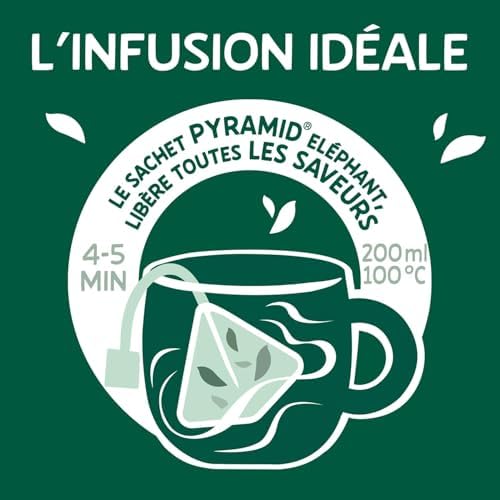 Vue 4 de Elephant Infusion Collection Fruitee