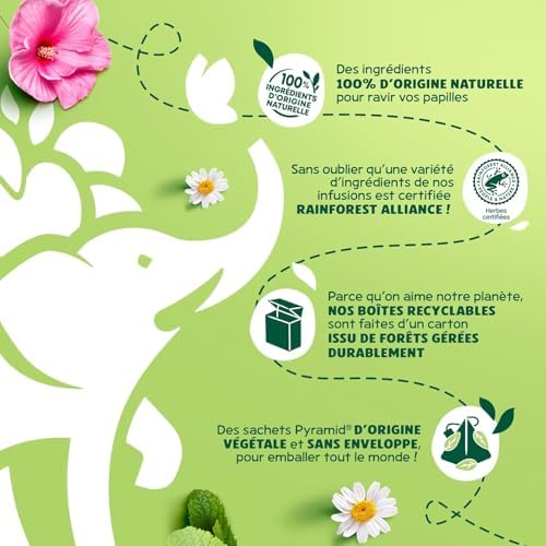 Vue 5 de Elephant Infusion Collection Fruitee