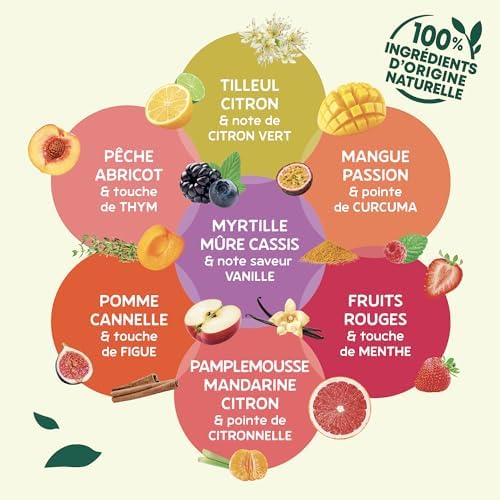 Vue 4 de Elephant Infusion Aromatisee Gout